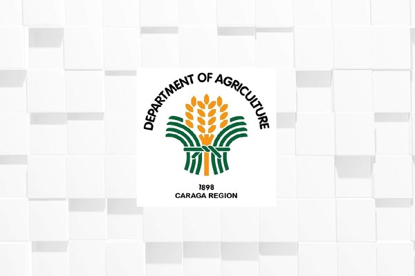 DA distributes P244-M farm aid to Caraga rice growers