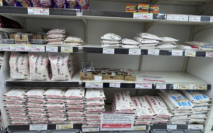 Vietnamese rice, fish sauce gradually gain traction in Japan