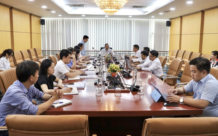 Vietnamese company proposes developing first high-rise pig farms