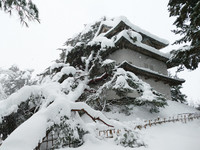 The Ninomaru Hitsujisaru Yagura guard tower of Hirosaki Castle in Aomori Prefecture damaged by a pine tree that collapsed under the weight of snow (Courtesy of the city of Hirosaki)